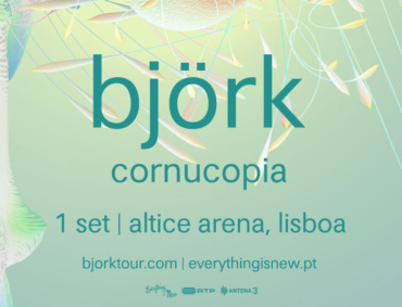 Björk 23